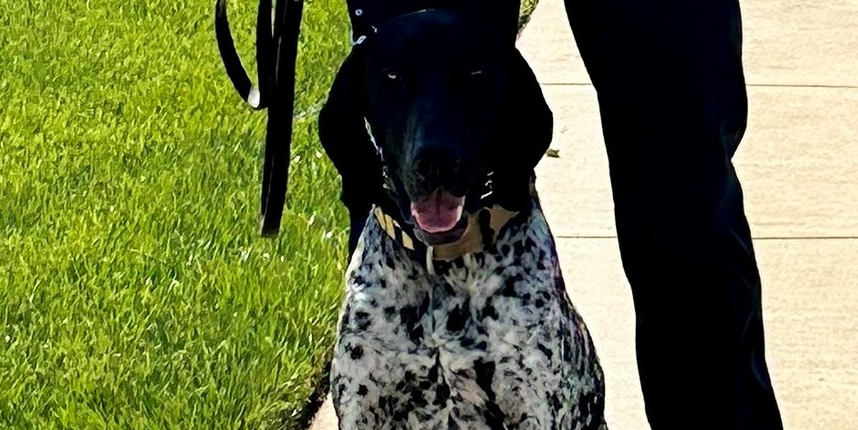 Caroline County Sheriff’s Office welcomes new K9